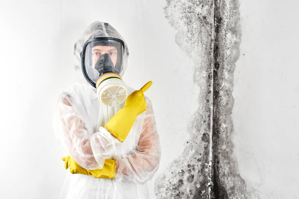 Best Commercial Mold Inspection  in Ilchester, MD