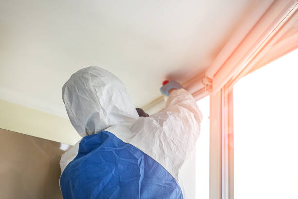 Asbestos and Lead Testing During Mold Inspection in Ilchester, MD